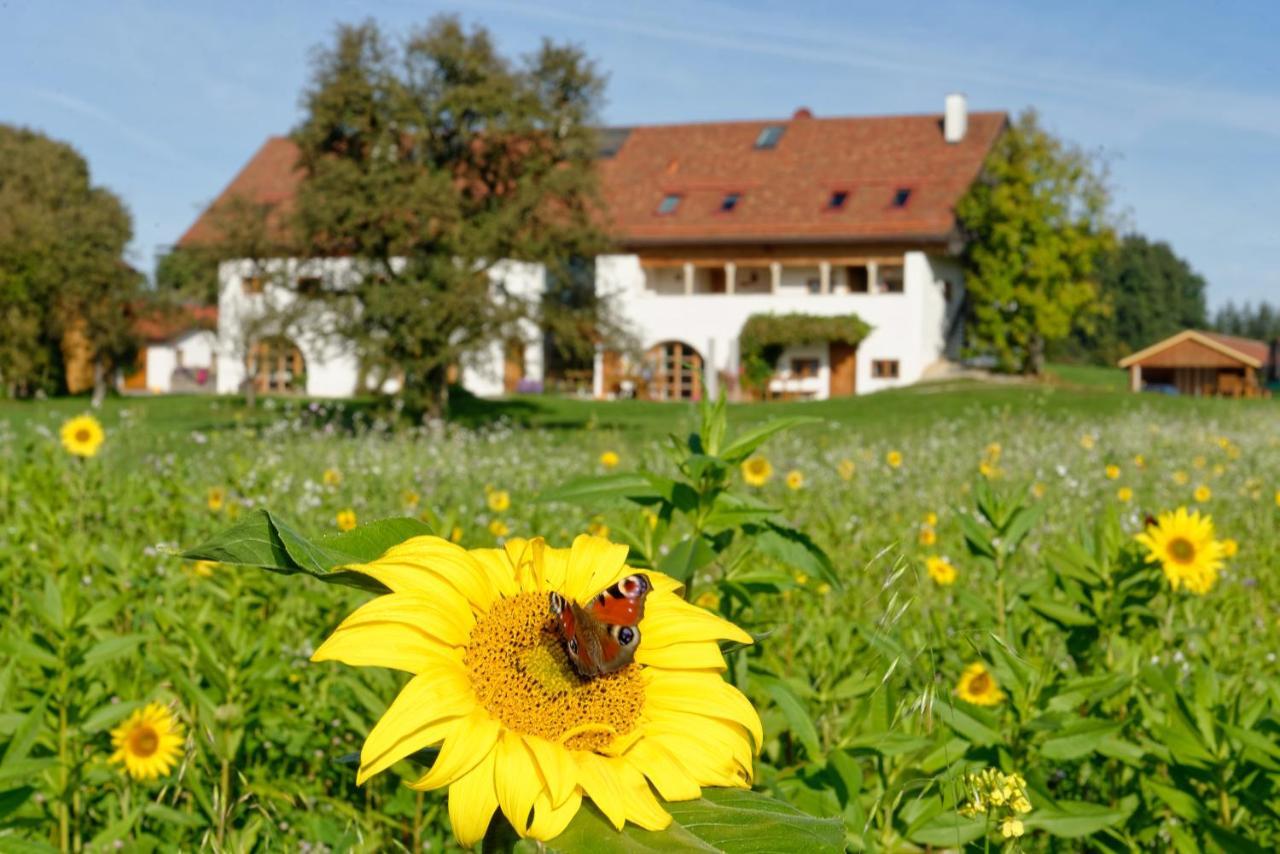Hagerhof Apartman Eggstätt Kültér fotó